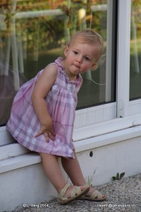 2014.08.30 NC Crayfish Party 019