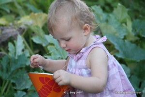 2014.08.30 NC Crayfish Party 066