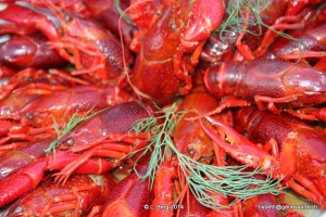 2014.08.30 NC Crayfish Party 068