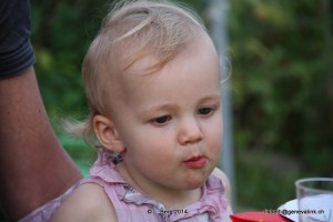 2014.08.30 NC Crayfish Party 077